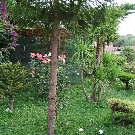 Hotel Vlora فلورا